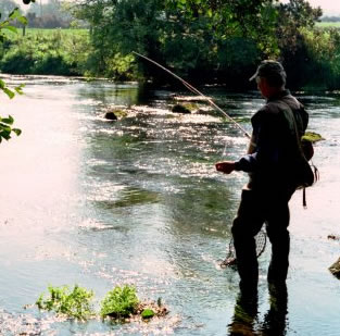 Fishing in the River Suir